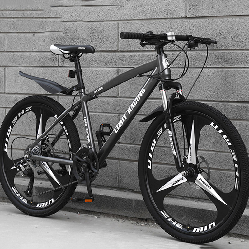 Vélo de route pliable à cadre pleine grandeur Gravel, puissants vélos à suspension intégrale, couple de vélos de route Litepro, sports de plein air